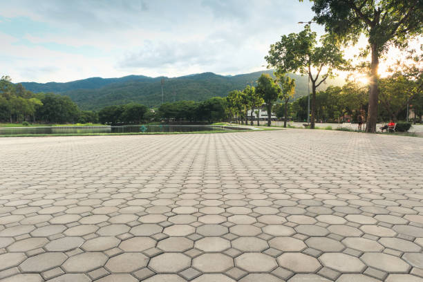 Reliable Plentywood, MT Driveway Pavers Solutions