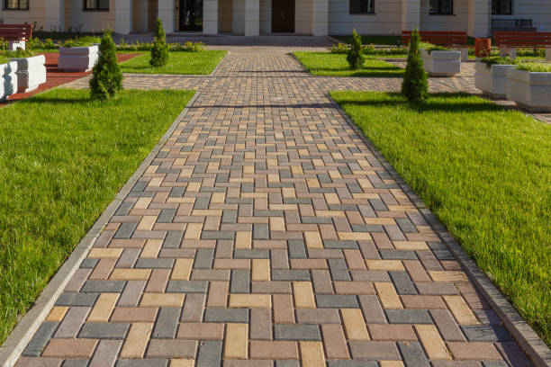 Best Best Driveway Pavers  in Plentywood, MT